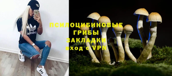 герыч Лиски
