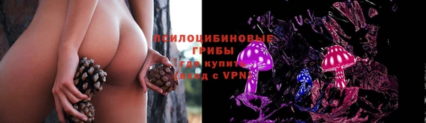 герыч Лиски