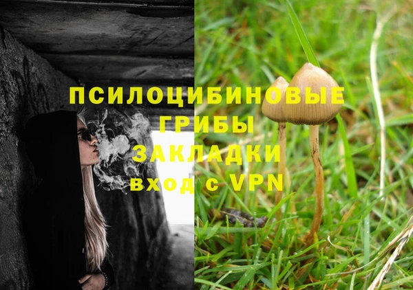 дмт Липки