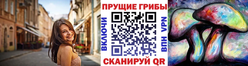 Псилоцибиновые грибы Psilocybine cubensis Южа