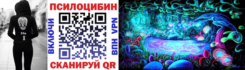 Галлюциногенные грибы Psilocybine cubensis  Южа 
